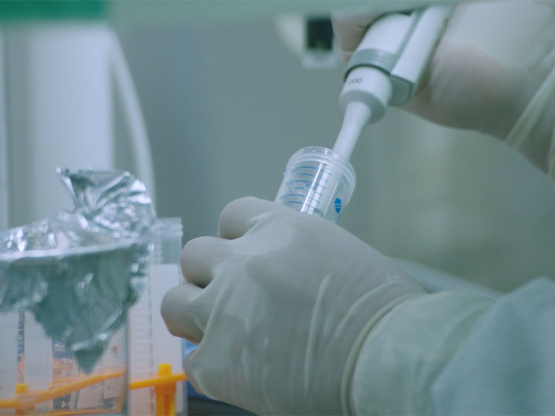 एमआरएनए आरएसवी वैक्सीन की हास्य और सेलुलर प्रतिरक्षा अमेरिका में क्लिनिकल परीक्षण के लिए अंतरराष्ट्रीय स्तर पर विपणन उत्पादों के आवेदन की तुलना में काफी अधिक थी।